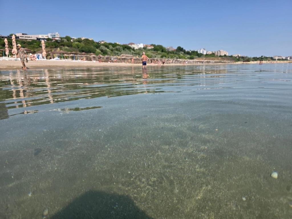 Apartament cu doua camere_1 (22)