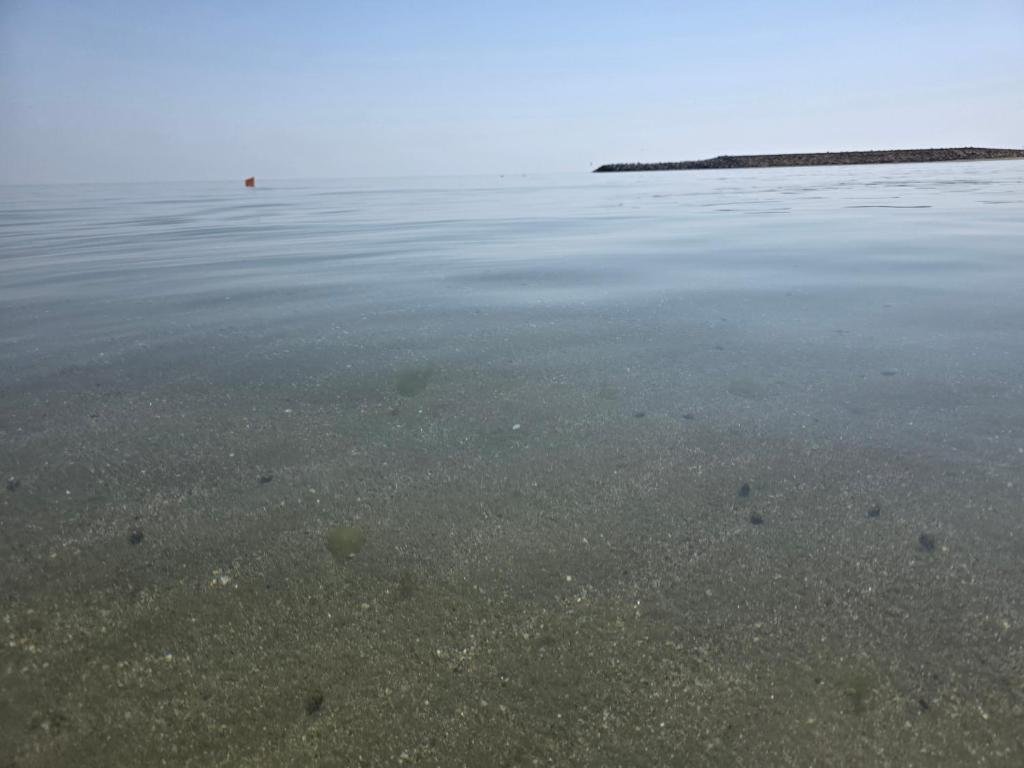 Apartament cu doua camere_1 (5)