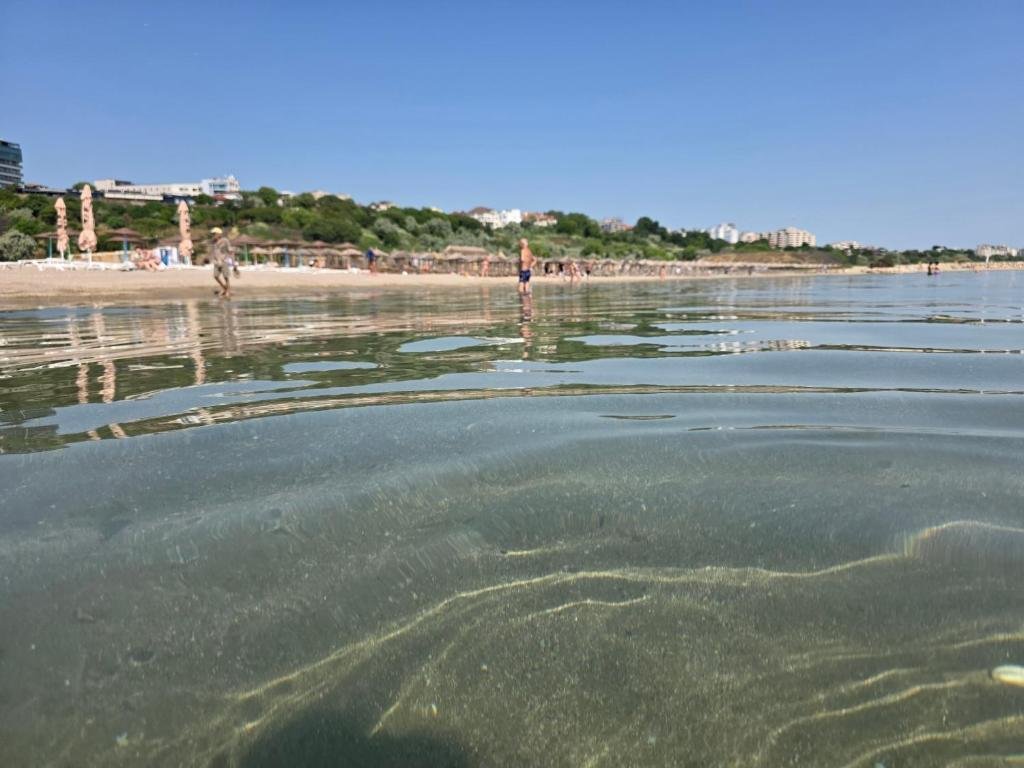 Apartament cu doua camere_2 (6)